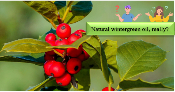 Olio Wintergreen - Come si possono identificare e testare la naturalezza degli ingredienti sintetici?